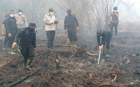 Karhutla Hanguskan 5 Hektare Lahan di Mamasa, Polisi dan Damkar Berjibaku Padamkan Api