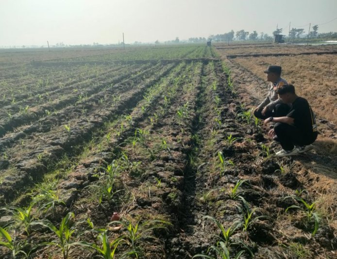 Bhabinkamtibmas Dorong Warga Manfaatkan Lahan Kosong untuk Ketahanan Pangan